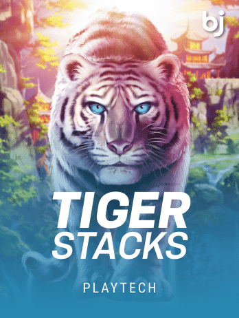 Tiger Stacks icon